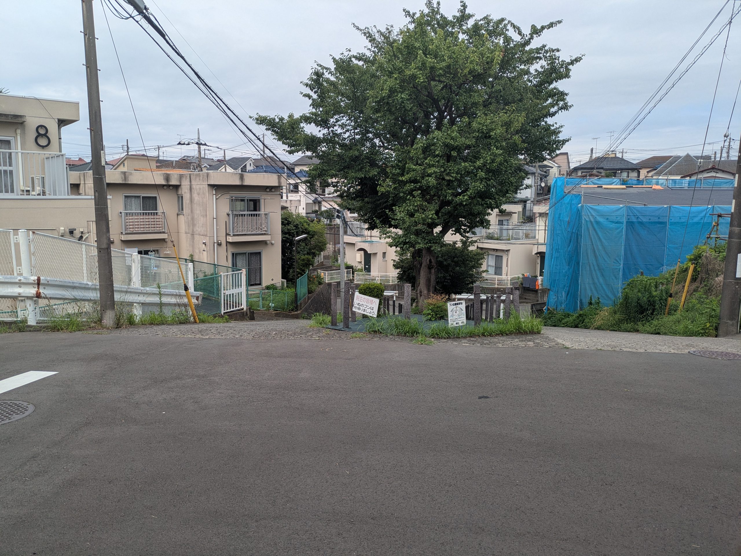台地の縁から見下ろした谷。地形が谷底へと下っていく。